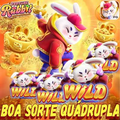 Nossa vida com cães