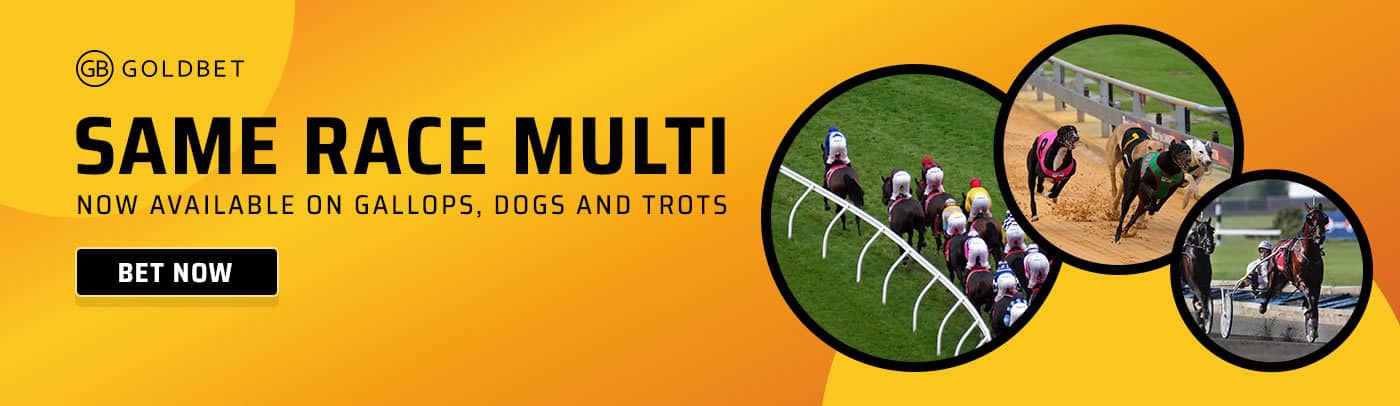 Esporte net vip bets